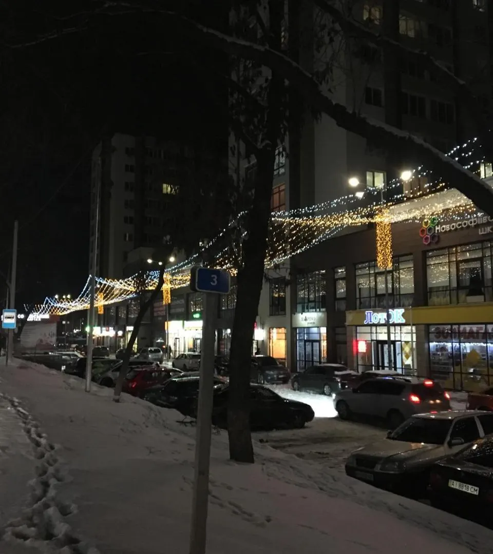 Apartment Софиевский Квартал Petropavlovskaya Borshchagovka